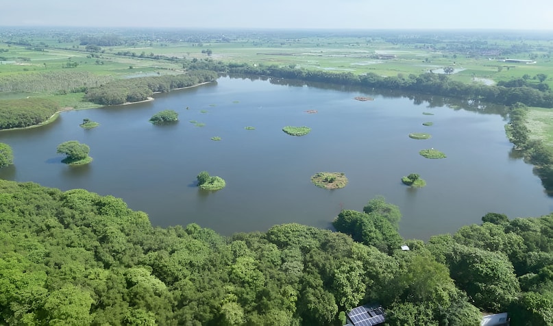 अलीगढ़ मुख्यालय से करीब 17 किलोमीटर दूर पनैठी-जलाली मार्ग पर स्थित यह झील अपने आप में इतिहास समेटे हुए है. इसका अस्तित्व साल 1852 में तब आया जब अपर गंग नहर का निर्माण कार्य चल रहा था. वक्त के साथ यह झील प्राकृतिक रूप से इतनी समृद्ध हो गई कि साल 2016 में इसे 'राष्ट्रीय पक्षी विहार' घोषित कर दिया गया और अब यह दुनिया भर के पर्यावरण प्रेमियों की नजर में है.