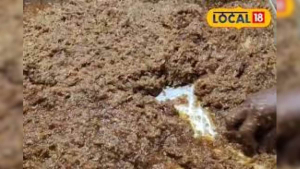 कन्नौज का मशहूर गुलकंद, देसी गुलाब से किया जाता है तैयार; मुंह में जाते ही घुल जाएगा स्वाद