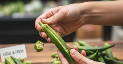 उन्हाळ्यात भेंडी सुकणार नाही! अशा प्रकारे साठवा, महिनेभर ताजी राहील!