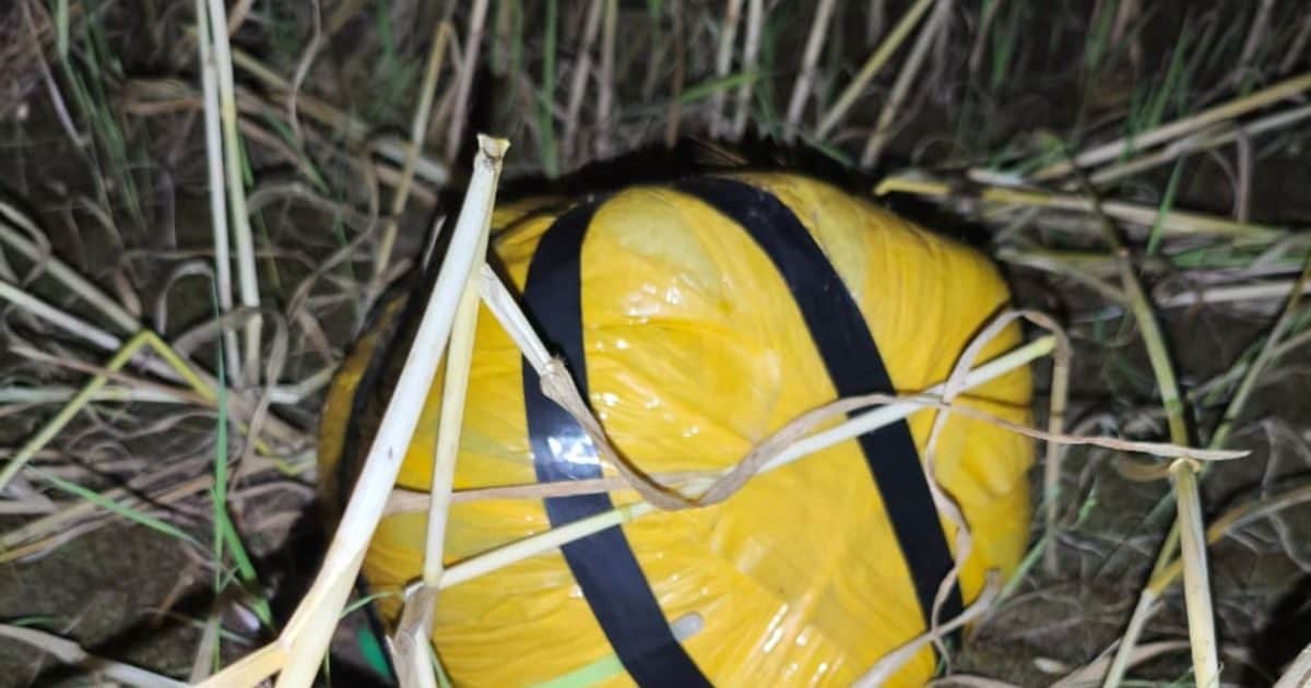 Jammu Kashmir News: आधी रात बॉर्डर पर हड़कंप: जोगिंदर के खेत में मिला पीला पैकेट, उड़ गई सुरक्षा एजेंसियों की नींद