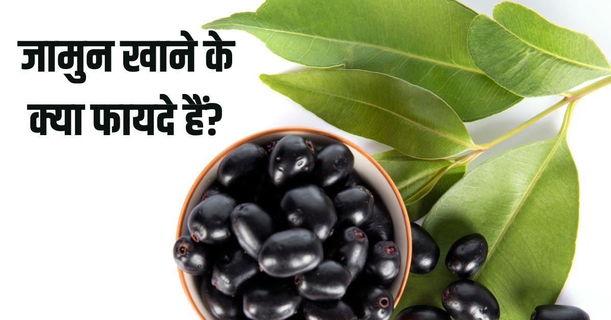 गर्मी में मिलने वाला 10रु का ये काला फल, कंट्रोल रखता है ब्लड शुगर-BP, जानें फायदे
