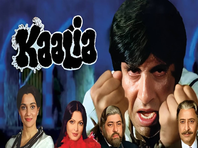 kaalia movie ka dialogue, kaalia movie song amitabh Bachchan, hum jahan khade hote hain dialogue movie name, hum jahan khade hote hain dialogue movie in hindi, jahan teri yeh nazar hai song movie name, kaalia movie amitabh bachchan ki, amitabh bachchan movie kaalia 1981 cast, amitabh bachchan ki kaalia movie, amitabh bachchan kaalia 1981 budget, amitabh bachchan kaalia movie 1981 collection, kaalia movie 1981 hit or flop, kaalia movie 1981 release date, kaalia movie 1981 song jahan par teri nazar hai, kaalia 1997 film full movie, namak halal kaalia movie connection, amitabh bachchan namak halaal hit or flop, kaalia movie ka dialogue, kaalia movie song amitabh Bachchan, hum jahan khade hote hain dialogue movie name, hum jahan khade hote hain dialogue movie in hindi, jahan teri yeh nazar hai song movie name, kaalia movie amitabh bachchan ki, amitabh bachchan movie kaalia 1981 cast, amitabh bachchan ki kaalia movie, amitabh bachchan kaalia 1981 budget, amitabh bachchan kaalia movie 1981 collection, kaalia movie 1981 hit or flop, kaalia movie 1981 release date, kaalia movie 1981 song jahan par teri nazar hai, kaalia 1997 film full movie, namak halal kaalia movie connection, amitabh bachchan namak halaal hit or flop,