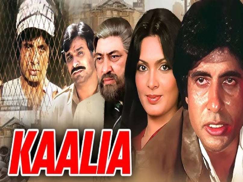 kaalia movie ka dialogue, kaalia movie song amitabh Bachchan, hum jahan khade hote hain dialogue movie name, hum jahan khade hote hain dialogue movie in hindi, jahan teri yeh nazar hai song movie name, kaalia movie amitabh bachchan ki, amitabh bachchan movie kaalia 1981 cast, amitabh bachchan ki kaalia movie, amitabh bachchan kaalia 1981 budget, amitabh bachchan kaalia movie 1981 collection, kaalia movie 1981 hit or flop, kaalia movie 1981 release date, kaalia movie 1981 song jahan par teri nazar hai, kaalia 1997 film full movie, namak halal kaalia movie connection, amitabh bachchan namak halaal hit or flop, kaalia movie ka dialogue, kaalia movie song amitabh Bachchan, hum jahan khade hote hain dialogue movie name, hum jahan khade hote hain dialogue movie in hindi, jahan teri yeh nazar hai song movie name, kaalia movie amitabh bachchan ki, amitabh bachchan movie kaalia 1981 cast, amitabh bachchan ki kaalia movie, amitabh bachchan kaalia 1981 budget, amitabh bachchan kaalia movie 1981 collection, kaalia movie 1981 hit or flop, kaalia movie 1981 release date, kaalia movie 1981 song jahan par teri nazar hai, kaalia 1997 film full movie, namak halal kaalia movie connection, amitabh bachchan namak halaal hit or flop,