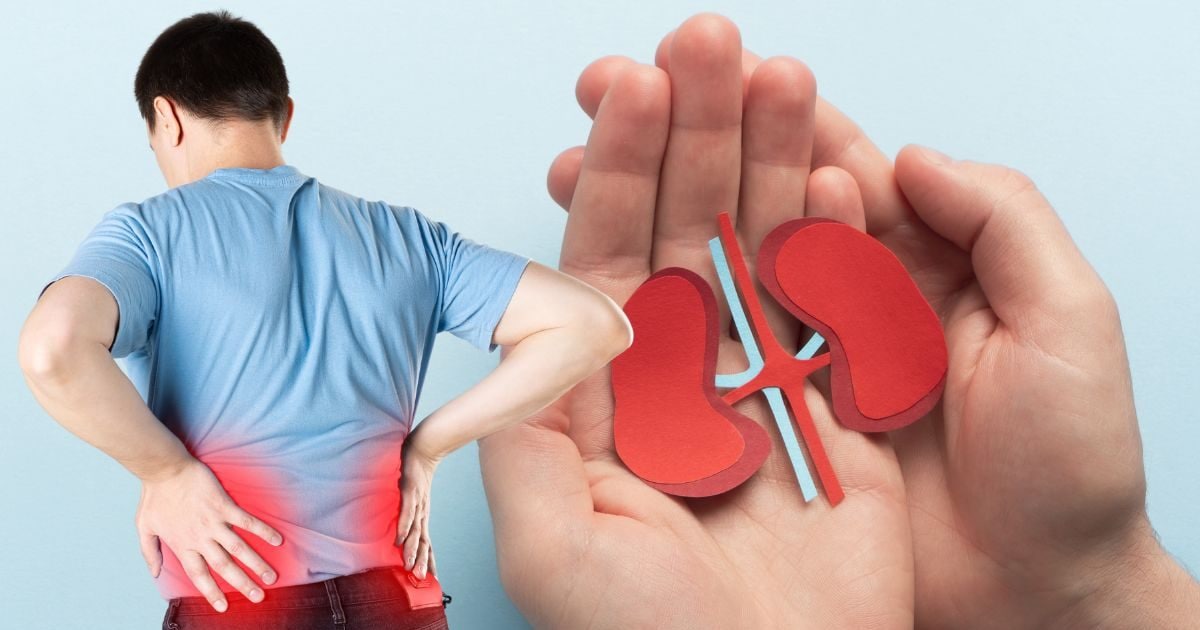 किडनी स्टोन का खतरा महिलाओं को ज्यादा होता है या पुरुषों को? इस बात में कितनी हकीकत