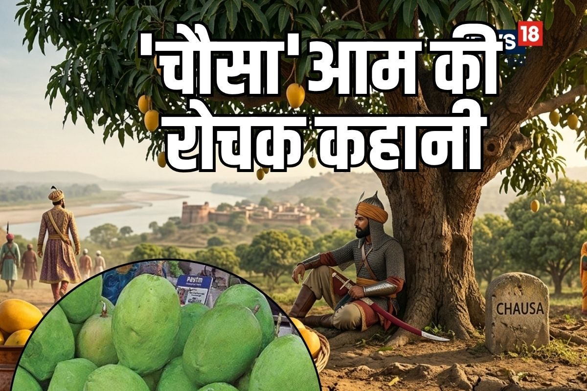 गाजीपुरिया आम दुनिया भर में 'चौसा' के नाम से क्यों हुआ मशहूर? शेरशाह सूरी से जुड़ा है कनेक्शन, जानें इसकी कहानी