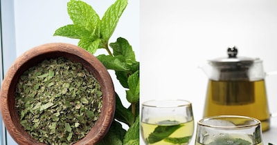 পুদিনার জাদু: গ্রীষ্মের তাপ ও অসুস্থতা দূর করুন এই সবুজ পাতা দিয়ে!