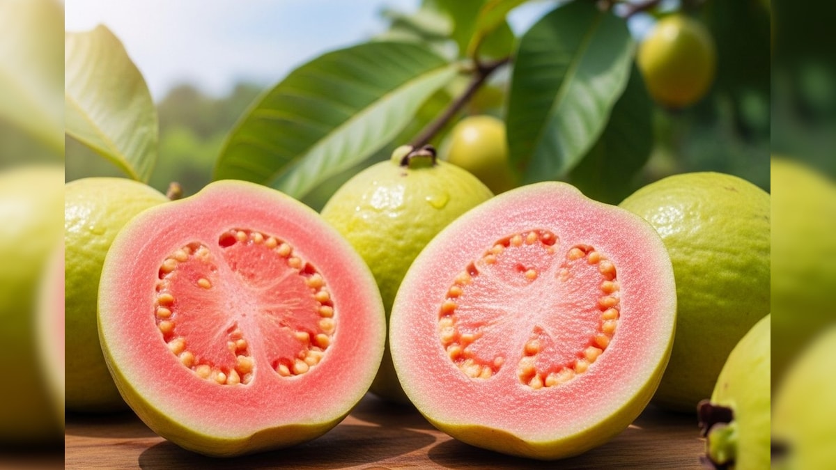 रिटायरमेंट के बाद शुरू की खेती, ताइवान पिंक अमरूद से बना रहे नई पहचान, कमा रहे तगड़ा मुनाफा