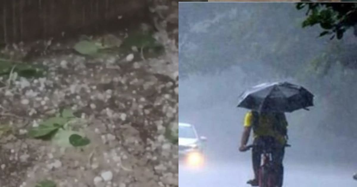 MP में मौसम बरपा रहा कहर, झमाझम बारिश के साथ ओलावृष्टि का तांडव, 45 जिलों में अलर्ट