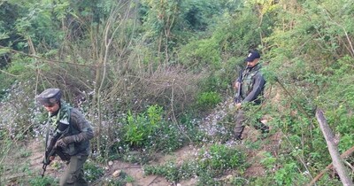 संदिग्धों की तलाश में सर्च ऑपरेशन चलाते सुरक्षा बल. फोटो- न्यूज18