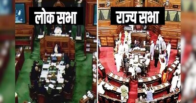 खास मकसद को ध्यान में रखकर चुना जाता है कालीन का रंग (इमेज- फाइल फोटो)