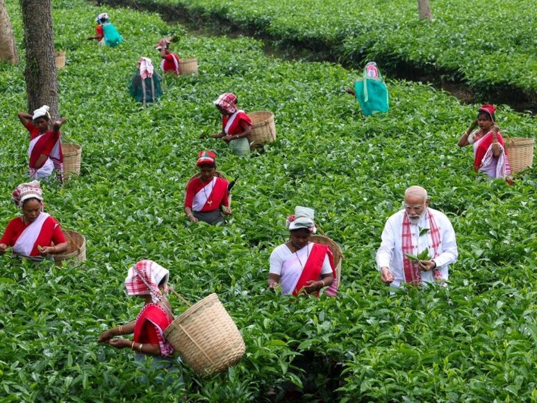 PM Modi Assam Visit, pm modi in Dibrugarh Tea Garden, pm narendra modi Tea Garden Workers, Assam assembly Election 2026, Modi Tea Seller Connection, Land Pattas Tea Workers, Assam Assembly Polls, Tea Tribe Votes, bjp vs congress, पीएम नरेंद्र मोदी, असम के चाय बागन में पीएम मोदी, असम विधानसभा चुनाव 2026, बीजेपी बनाम कांग्रेस, टी-वर्कर्स असम चुनाव में किसको सपोर्ट करेंगे 