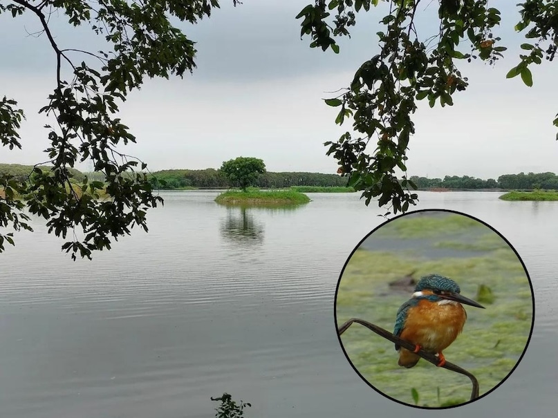 जिला मुख्यालय से महज 20 किलोमीटर की दूरी पर होने के कारण यहां पहुंचना बेहद आसान है. यहां की ताज़ा हवा और प्राकृतिक परिवेश फोटोग्राफी के शौकीनों के लिए भी बहुत जबरदस्त है. यह स्थान अब धीरे-धीरे एक मॉडर्न पिकनिक स्पॉट के रूप में उभर रहा है, जहां आप अपने परिवार और दोस्तों के साथ क्वालिटी टाइम बिता सकते हैं. इसलिए अगर आप इस गर्मी की छुट्टी फैमिली के साथ कही घूमने का प्लान बना रहे हैं तो ये आपके लिए एक परफेक्ट स्पॉट है.