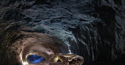 सांप के बारे में रोचक तथ्य.