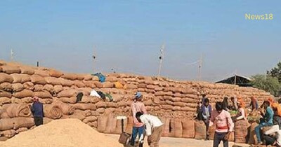 मध्‍य प्रदेश में दो चरणों में गेंहूं खरीद होगी. 