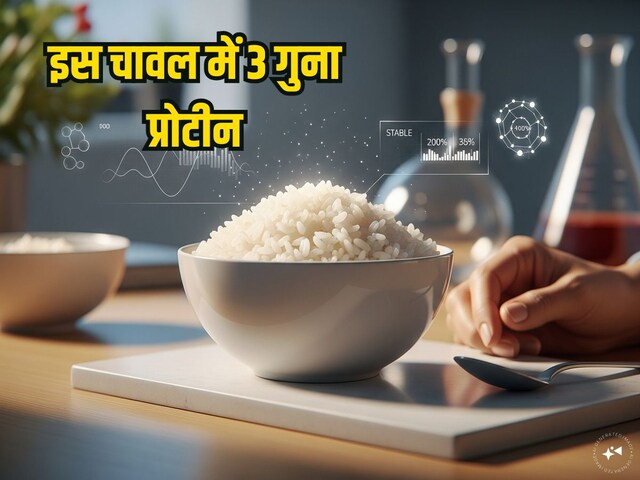 डायबिटीज मरीजों के लिए बढ़िया है ये चावल, 3 गुना ज्यादा प्रोटीन