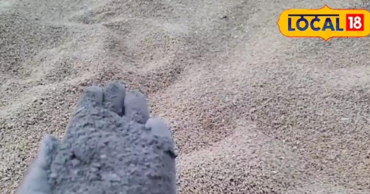 गेहूं को सेफ रखने का सबसे पुराना जुगाड़, सालों साल नहीं होगा खराब! फ्री में करें इंतजाम