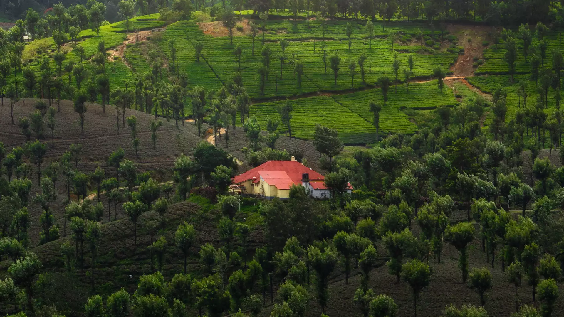 Valparai, Tamil NaduLocated in the Anamalai Hills of the Western Ghats, Valparai isn’t your typical tourist town; it’s a high-altitude plateau surrounded by tea and coffee estates and dense evergreen forests. Take a scenic drive to the Nirar Dam, spot the Nilgiri Tahr at the Anamalai Tiger Reserve, and enjoy the breathtaking views from the Loam’s View Point, which overlooks the Aliyar Dam. 