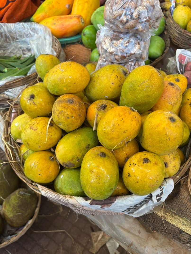 Mankurad: Known for its rich tropical fragrance that tourists love, this GI-tagged mango is perfect for tapping hospitality markets and boosting direct sales. (Representative Image: Wikimedia Commons)