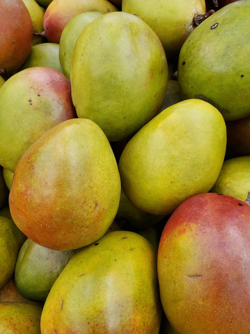 Gulab Khas: With its distinct rose-like aroma, this mango is ideal for gifting. Its unique sensory appeal attracts urban buyers and premium fruit subscription boxes willing to pay more. (Representative Image: Pexels)