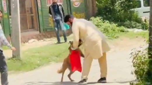 सड़क से गुजर रहे शख्स पर कुत्ते ने किया हमला, जख्मी पर ही दर्ज हो गई FIR, देखें रोचक VIDEO