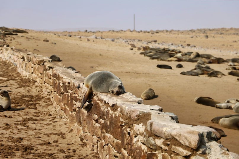 Pelican Point, Namibia: Located where the Namib Desert meets the Atlantic, this area sees almost no rain but is often shrouded in fog. It is a stunning bucket-list spot for kayaking with seals and seeing the world’s oldest, tallest dunes meet the ocean.