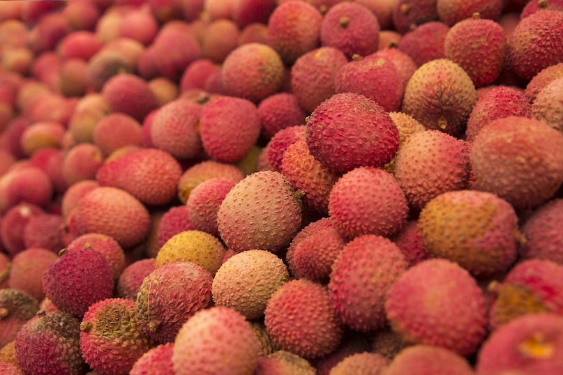 The Secret Recipe: Nature's Perfect Playground That's why Muzaffarpur holds this title. Just as Malda in West Bengal is the mango city of India, Muzaffarpur in Bihar is the lychee capital of the world because the region is blessed with incredible natural conditions. In fact, Bihar ranks first in litchi production, contributing more than 40% of the country's total litchi production. The Secret Recipe: Nature's Perfect Playground That's why Muzaffarpur holds this title. Just as Malda in West Bengal is the mango city of India, Muzaffarpur in Bihar is the lychee capital of the world because the region is blessed with incredible natural conditions. In fact, Bihar ranks first in litchi production, contributing more than 40% of the country's total litchi production.