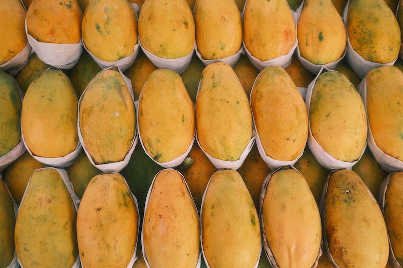 Why are they popular?: Alphonso mangoes are not only enjoyed fresh but are also widely used in making mango shakes, ice creams, traditional desserts and many types of desserts. Why are they popular?: Alphonso mangoes are not only enjoyed fresh but are also widely used in making mango shakes, ice creams, traditional desserts and many types of desserts.