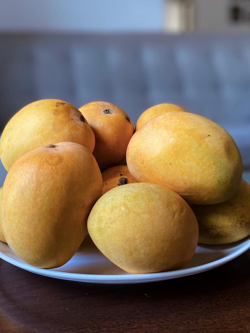 This is the reason why Ratnagiri in Maharashtra is widely known as the best place for Alphonso mangoes. If you are a mango lover, you must try the amazing taste of Ratnagiri Happus. This is the reason why Ratnagiri in Maharashtra is widely known as the best place for Alphonso mangoes. If you are a mango lover, you must try the amazing taste of Ratnagiri Happus.