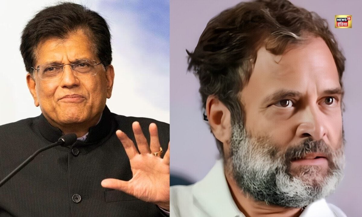 लगातार हारने की वजह से हताश हैं... राहुल गांधी के बयान पर पीयूष गोयल का पलटवार
