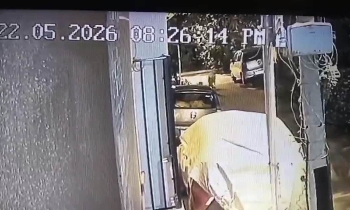 Viral Video: अकेली छात्रा, सुनसान सड़क… और अचानक 10 से ज्यादा कुत्तों ने चारों तरफ से घेर लिया