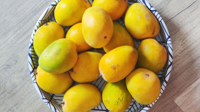 What is special about Alphonso mangoes in Ratnagiri?: These are the most special things about Alphonso mangoes grown in Ratnagiri. They have a sweet taste, rich pulp, and fiber-free texture. Its color ranges from light yellow to golden orange, and its scent can be recognized from a distance. This is the reason why Ratnagiri Hapus mangoes are in high demand not only within the country but also abroad. What is special about Alphonso mangoes in Ratnagiri?: These are the most special things about Alphonso mangoes grown in Ratnagiri. They have a sweet taste, rich pulp, and fiber-free texture. Its color ranges from light yellow to golden orange, and its scent can be recognized from a distance. This is the reason why Ratnagiri Hapus mangoes are in high demand not only within the country but also abroad.