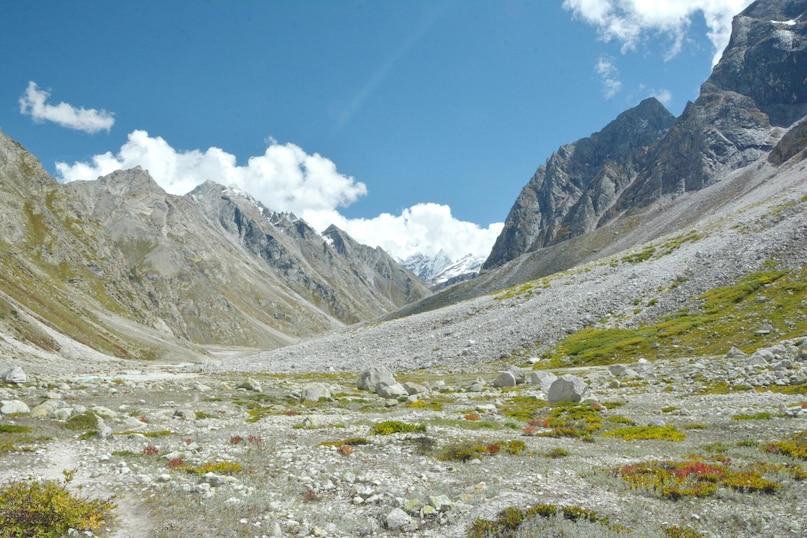 Valley of Flowers, Uttarakhand: Accessible only during the monsoon, this high-altitude trek reveals a kaleidoscopic carpet of thousands of wildflowers. The mist-veiled Himalayan peaks and glacial streams create a vibrant, fleeting landscape that feels like a scene straight out of a storybook. Valley of Flowers, Uttarakhand: Accessible only during the monsoon, this high-altitude trek reveals a kaleidoscopic carpet of thousands of wildflowers. The mist-veiled Himalayan peaks and glacial streams create a vibrant, fleeting landscape that feels like a scene straight out of a storybook.