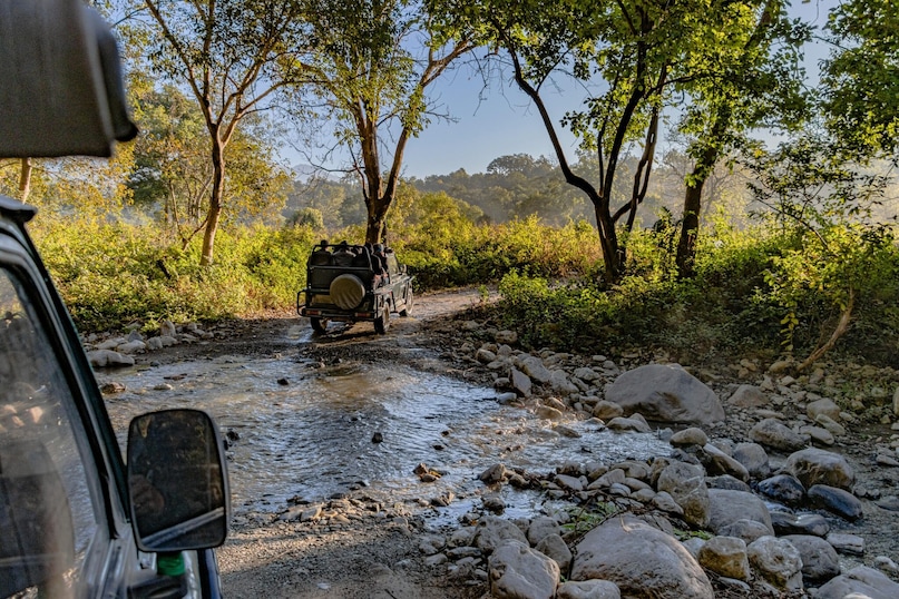 Jim Corbett National Park, Uttarakhand: While core zones close, the Jhirna and Dhela regions stay open year-round. These zones offer spectacular views of the Himalayan foothills drenched in rain. The monsoon transforms the landscape into a dense, green paradise, perfect for spotting elephants and deer.