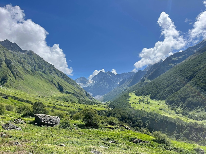Valley of Flowers, Uttarakhand: Technically a national park, this UNESCO site only opens during the monsoon. It is a floral pilgrimage where over 600 species of wildflowers carpet the valley in every imaginable hue. The sight of rare Himalayan flora against snow-capped peaks is unparalleled.