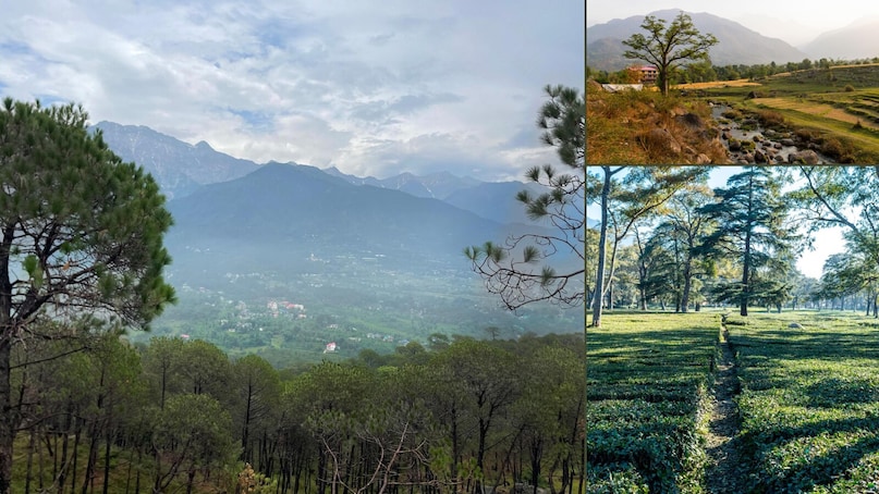 पालमपुर, हिमाचल प्रदेश: अपने चाय के बागानों और शांत माहौल के लिए मशहूर पालमपुर, प्रकृति प्रेमियों के लिए एक शानदार जगह है. इसकी खूबसूरत वादियां और कम भीड़-भाड़ वाला माहौल इसकी सबसे खास खूबियों में से हैं.
