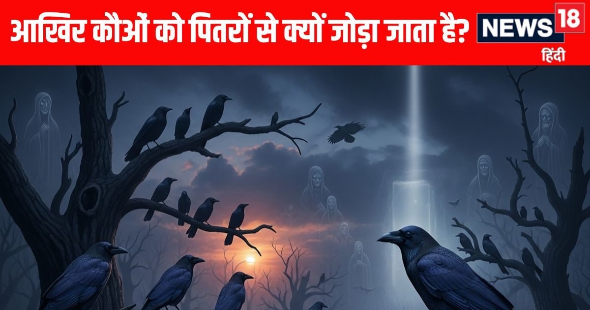 क्या सच में कौओं का संबंध पूर्वजों से होता है? कैसे बन गए अदृश्य दुनिया और मृत्यु के प्रती क्या सच में कौओं का संबंध पूर्वजों से होता है? कैसे बन गए अदृश्य दुनिया और मृत्यु के प्रती