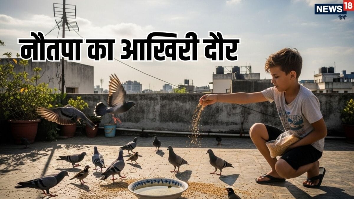 नौतपा के आखिरी 3 दिन बचे, पक्षियों के लिए दाना-पानी रखते समय ना करें ये गलतियां, शनि और रा
