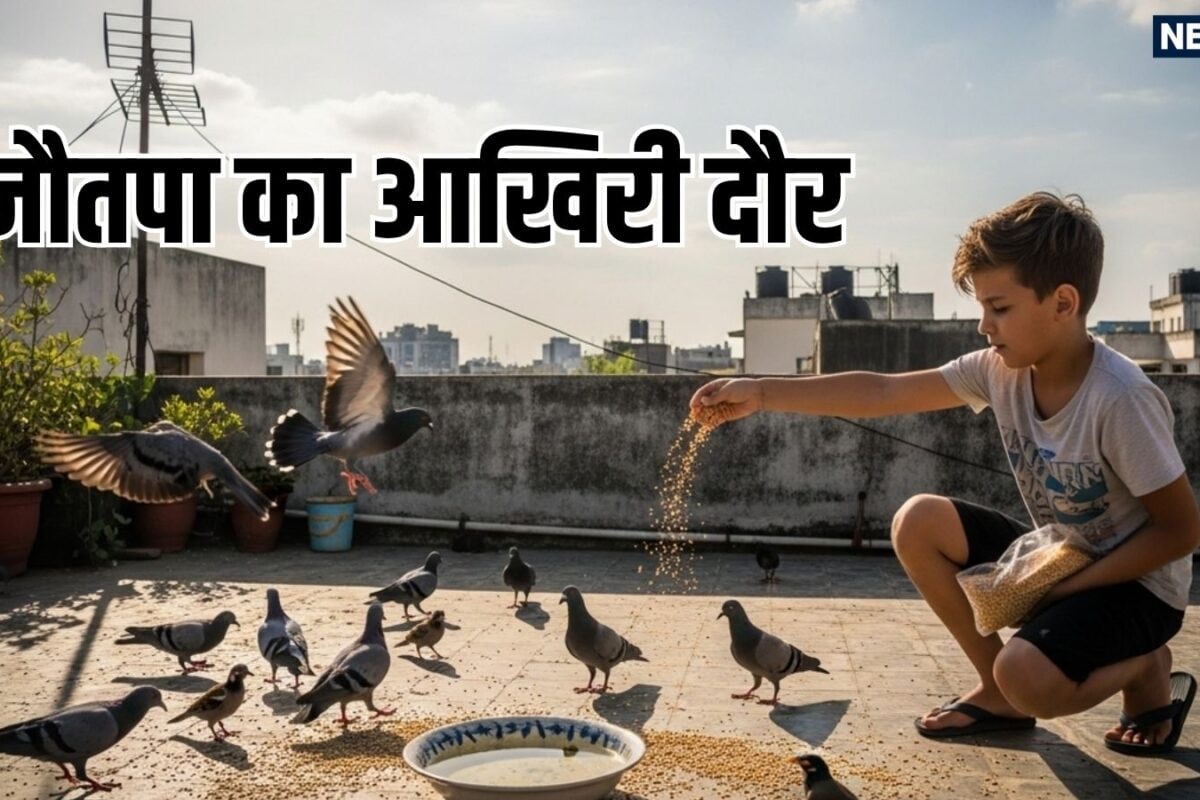 नौतपा के आखिरी 3 दिन बचे, पक्षियों के लिए दाना-पानी रखते समय ना करें ये गलतियां, शनि और राहु-केतु देंगे शुभ प्रभाव