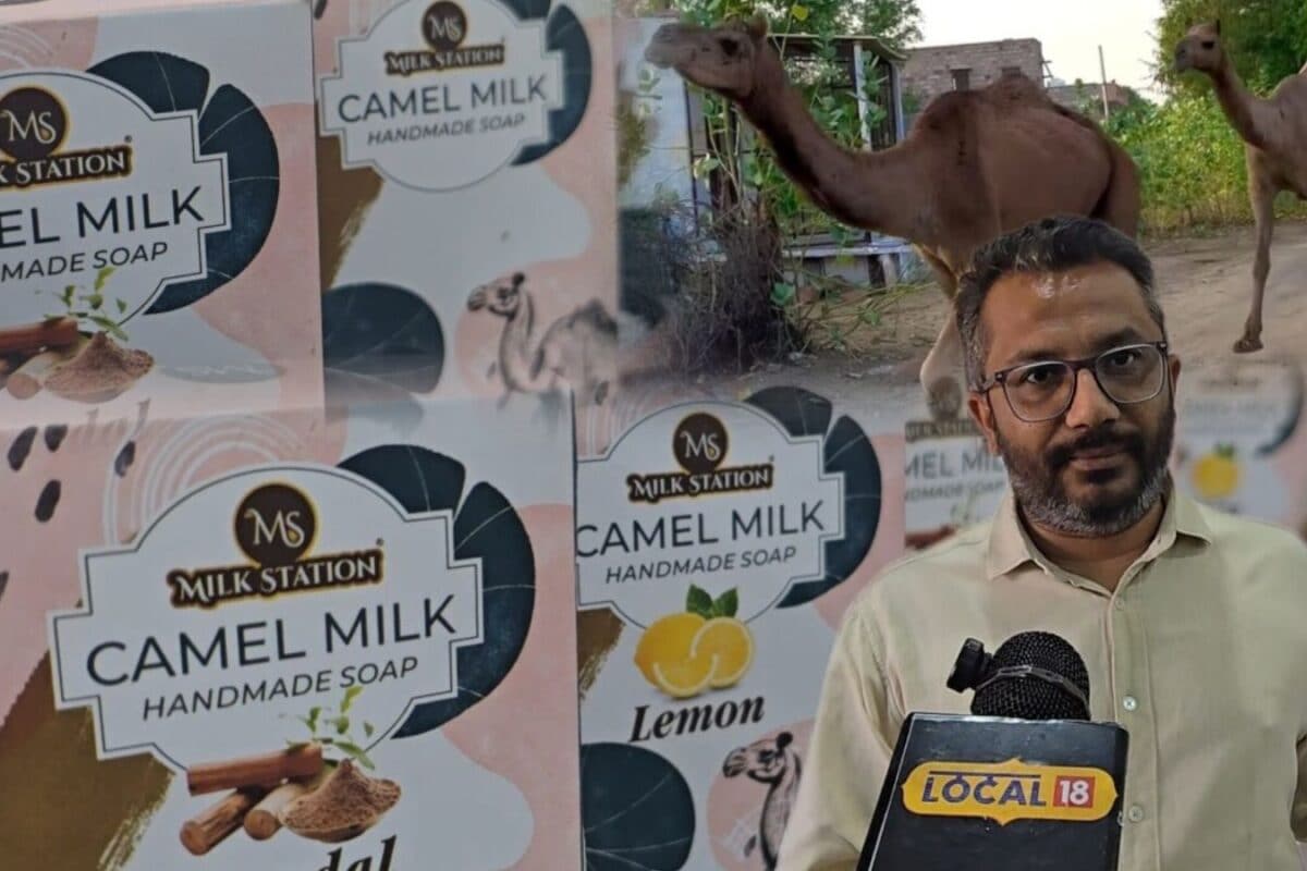 क्या आप यकीन करेंगे? अब ऊंटनी के दूध से चमकेगी आपकी स्किन, पाली की ग्रामीण महिलाएं बना रही हैं ये 'गोल्डन सोप'!