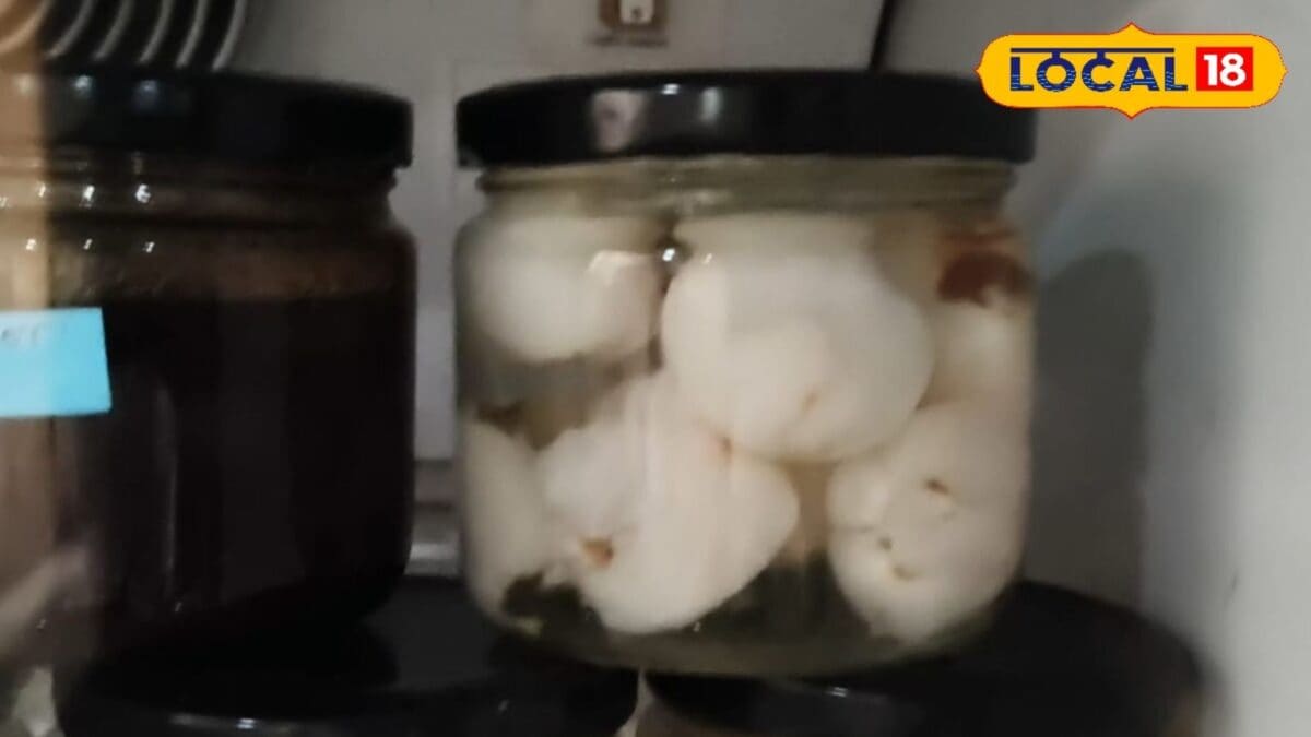 शाही लीची से तैयार हो रहा अनोखा रसगुल्ला, बाजार में मिल रहा शानदार दाम