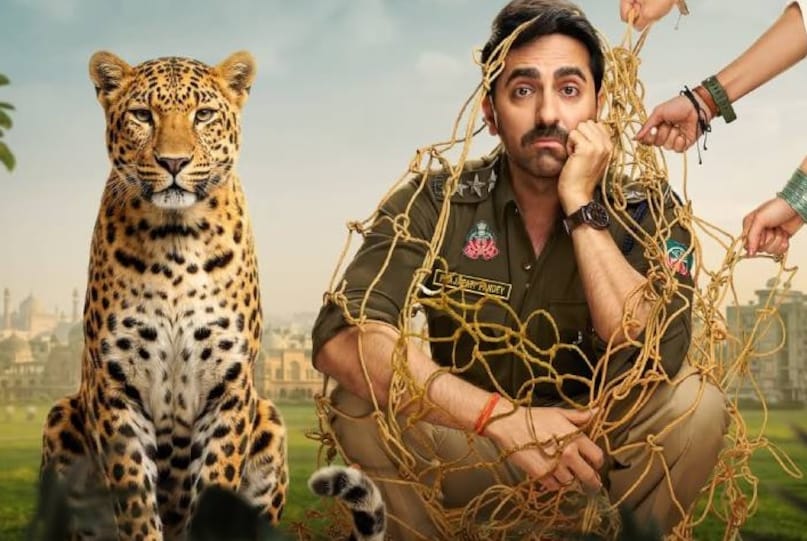karuppu box office collection, karuppu box office collection day 2, karuppu box office collection india, suriya trisha krishnan film, pati patni aur woh do box office collection day 2, करप्पु बॉक्स ऑफिस कलेक्शन, करप्पु बॉक्स ऑफिस कलेक्शन डे 2, करप्पु बॉक्स ऑफिस कलेक्शन इंडिया, पति पत्नी और वो दो बॉक्स ऑफिस, पति पत्नी और वो दो बॉक्स ऑफिस कलेक्शन डे 2, करप्पु वर्सेस पति पत्नी और वो दो बॉक्स ऑफिस