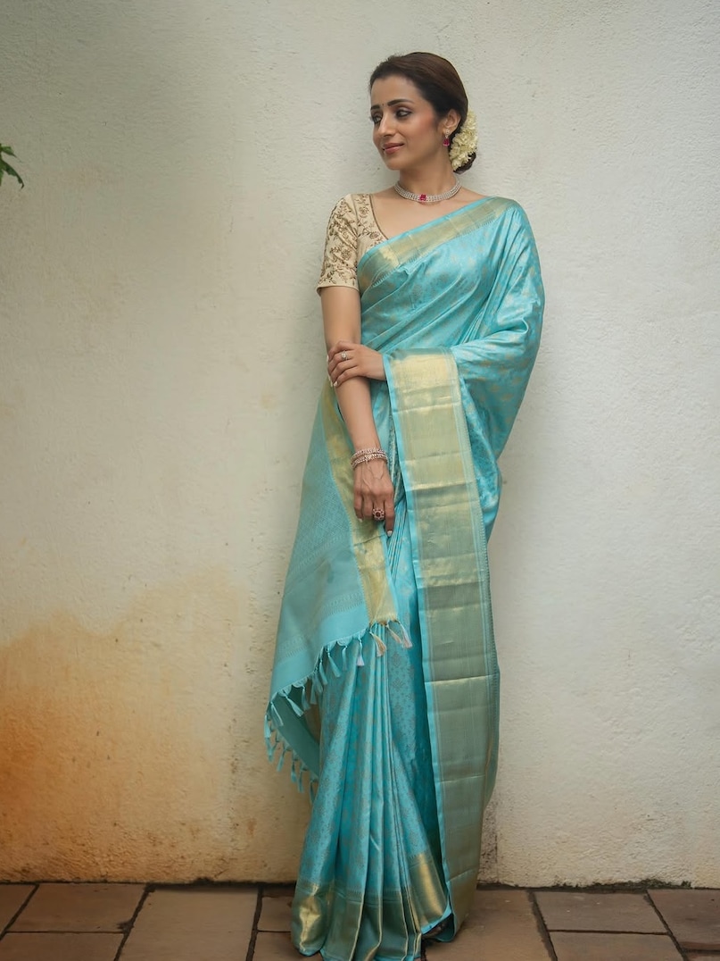 trisha krishnan, trisha krishnan saree look, thalapathy vijay, thalapathy vijay oath ceremony, aishwarya rai bachchan, trisha krishnan photos, तृषा कृष्णन, ऐश्वर्या राय बच्चन, थलापति विजय, थलापति विजय शपथ ग्रणह, तृषा कृष्णन ऐश्वर्या राय बच्चन, तृषा कृष्णन साड़ी लुक फोटोज वायरल