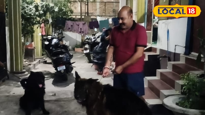 अजब-गजब