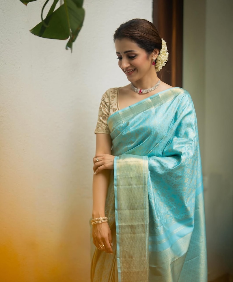 trisha krishnan, trisha krishnan saree look, thalapathy vijay, thalapathy vijay oath ceremony, aishwarya rai bachchan, trisha krishnan photos, तृषा कृष्णन, ऐश्वर्या राय बच्चन, थलापति विजय, थलापति विजय शपथ ग्रणह, तृषा कृष्णन ऐश्वर्या राय बच्चन, तृषा कृष्णन साड़ी लुक फोटोज वायरल