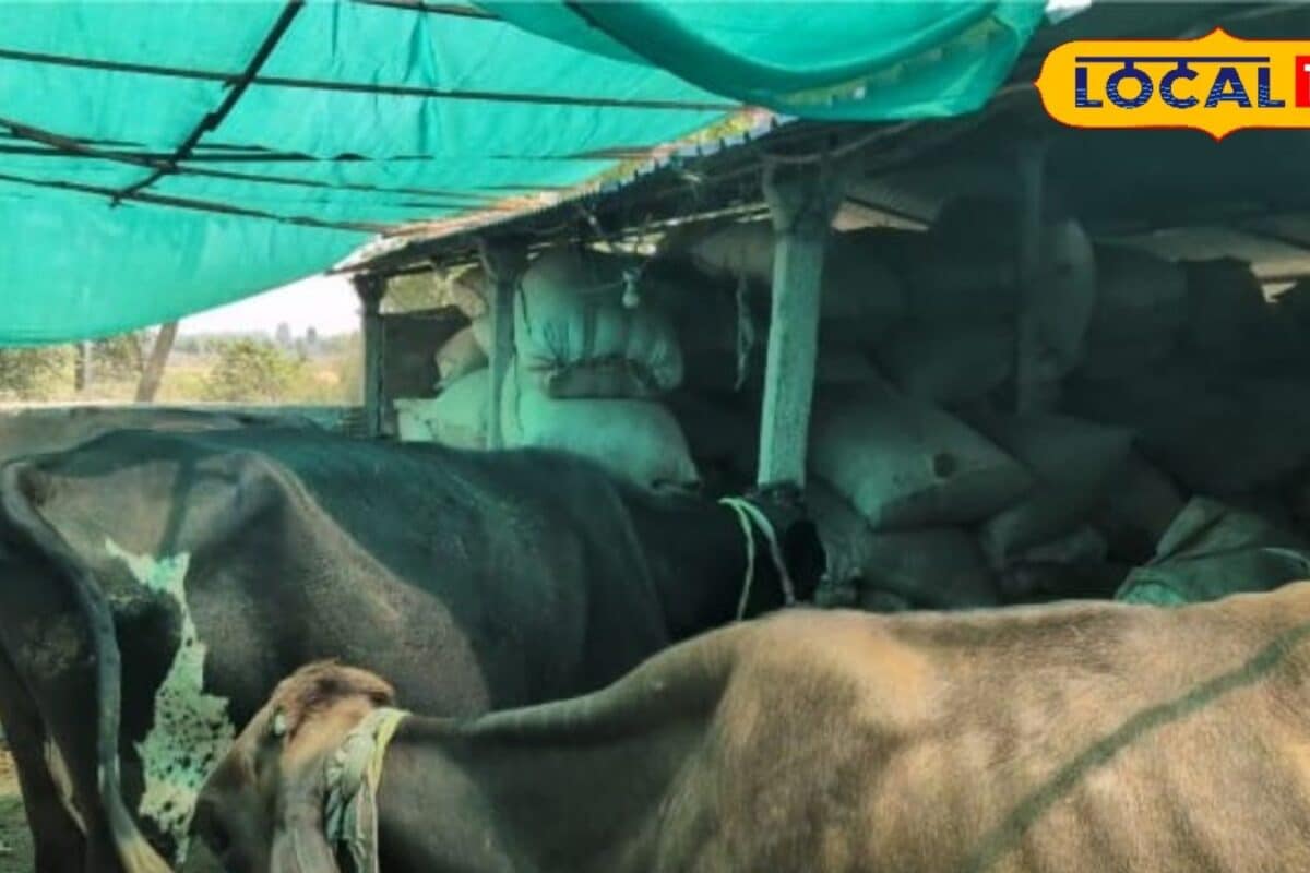 जिसे लोग बोझ समझकर बेच देते हैं, उससे किसान कमा रहा लाखों