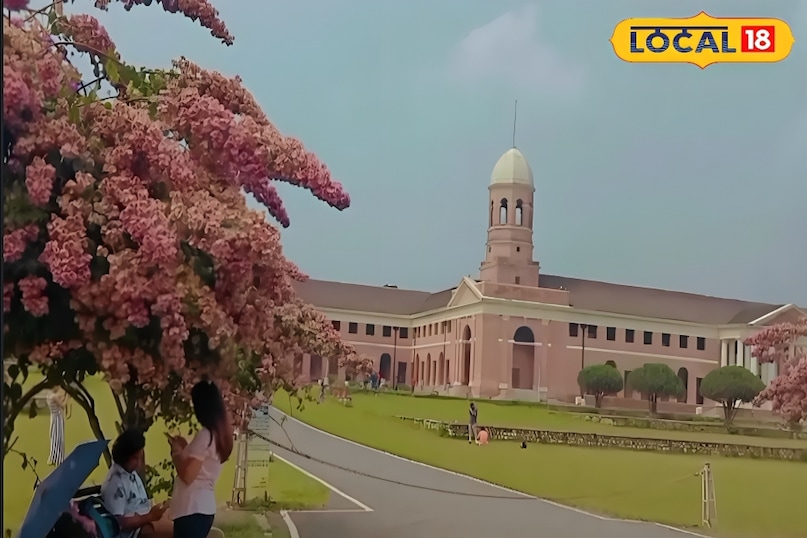एफ.आर.आई. यानी फॉरेस्ट इंस्टीट्यूट न अपनी भव्य वास्तुकला के लिए ही मशहूर नहीं है बल्कि इसके भीतर स्थित छह संग्रहालय बच्चों के लिए ज्ञान का खजाना हैं. यहाँ सोशल फॉरेस्ट्री, और माइनर फॉरेस्ट प्रोड्यूस जैसे संग्रहालयों में पेड़ों और जंगलों से जुड़ी दुर्लभ जानकारी मिलती है इसके घास के मैदानों में बच्चे दौड़-भाग कर सकते हैं और खुली हवा का लुत्फ उठा ले सकते हैं यहाँ की भव्य इमारत बच्चों को भारत की ऐतिहासिक विरासत और वैज्ञानिक प्रगति दोनों से रूबरू कराती है. यह स्थान फोटोग्राफी के लिए भी बेस्ट है.