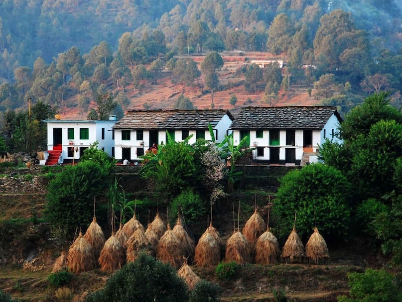 Binsar 2026 05 37ff9782af8438c8663dc89932a2081f