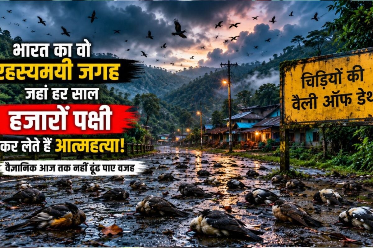 भारत का वो रहस्यमयी जगह, जहां हर साल हजारों पक्षी कर लेते हैं आत्महत्या, वैज्ञानिक आज तक नहीं ढूंढ पाए वजह
