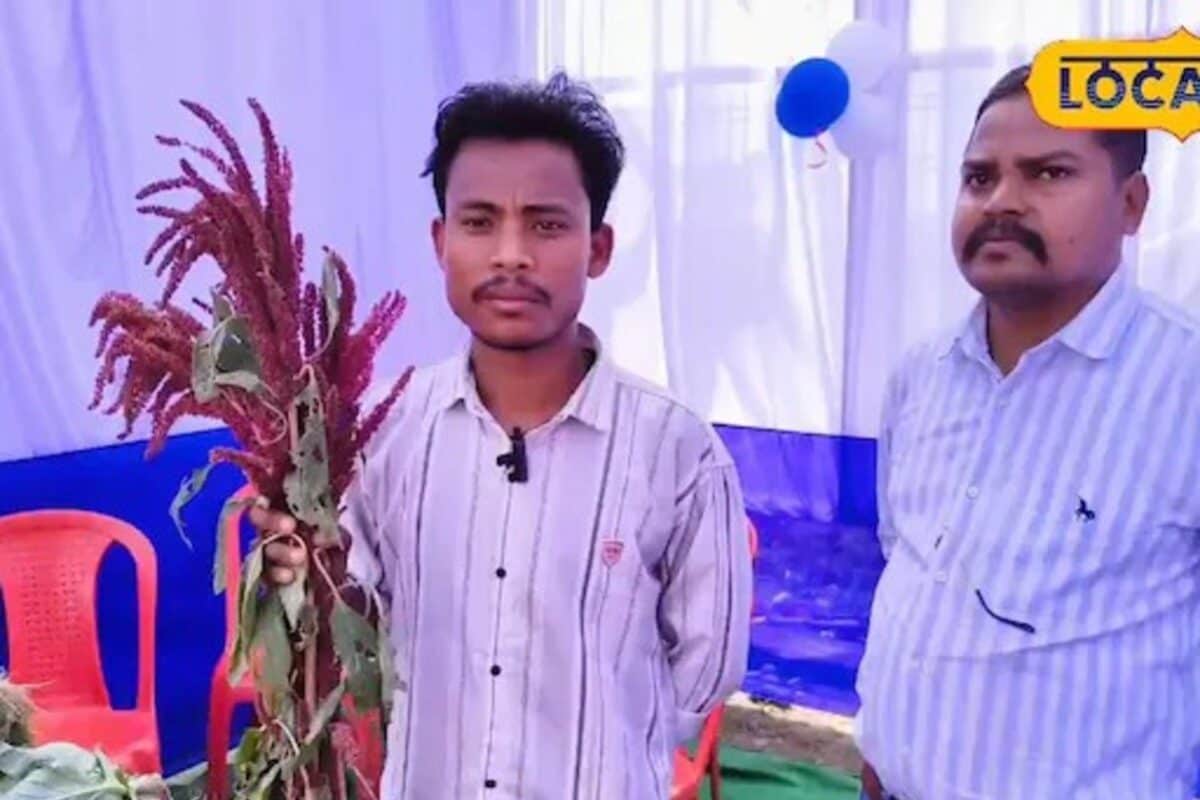 Video: नेपाल के बीज से बिहार के किसान की चमकी किस्मत! 75-90 दिनों में फसल तैयार, 12 हजार प्रति क्विंटल भाव