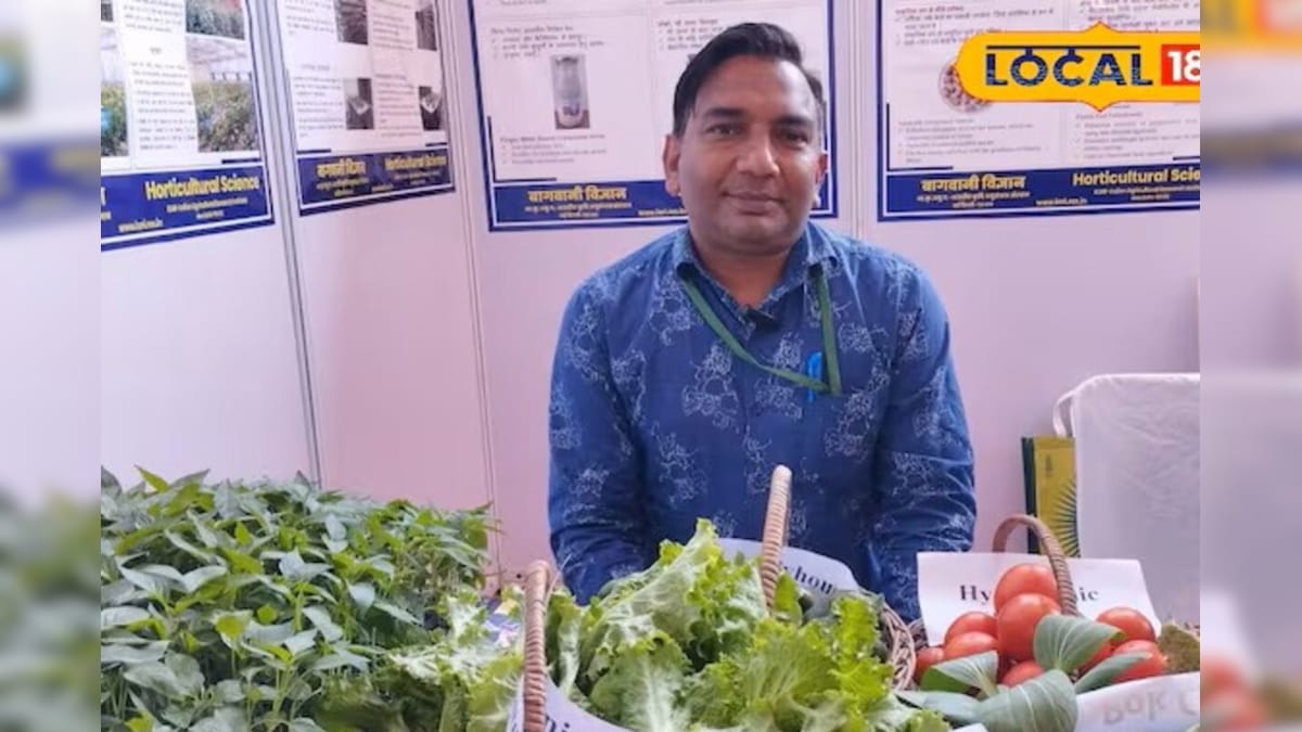 बिना मिट्टी के उगेंगे टमाटर-शिमला! पूसा की इस जादुई तकनीक से 40 नहीं 25 दिन में तैयार होगी फसलें – News18 हिंदी